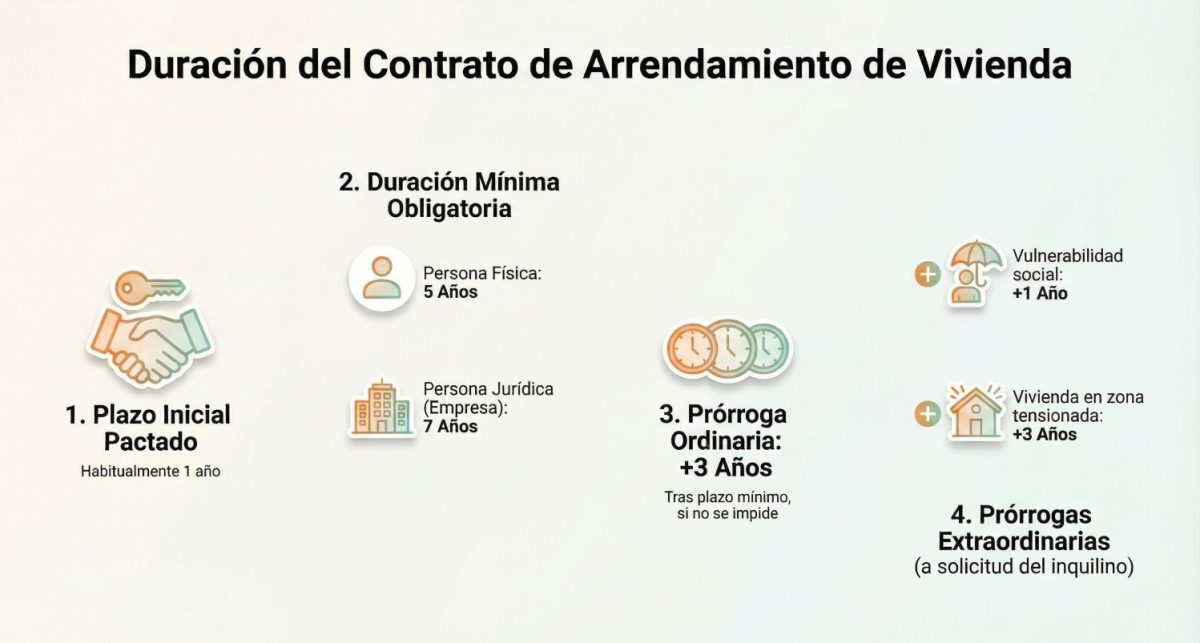 infografia-esquema-plazos-duracion-contrato-arrendamiento-vivienda